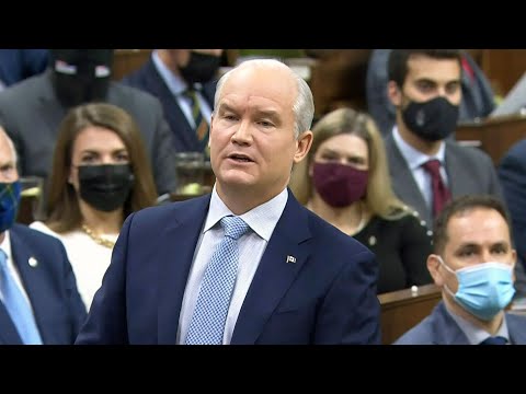 Erin O'Toole blasts throne speech: Watch his full speech