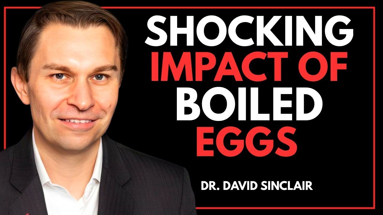 “What Really Happens When You Eat 2 Eggs Every Day? (Longevity Science Explained) |