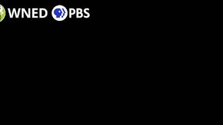 Celebrity Ruff's Cookie Creator | The Ruff Ruffman Show - COME PLAY WITH US! - Play Fun Games / 🎮 Wealth