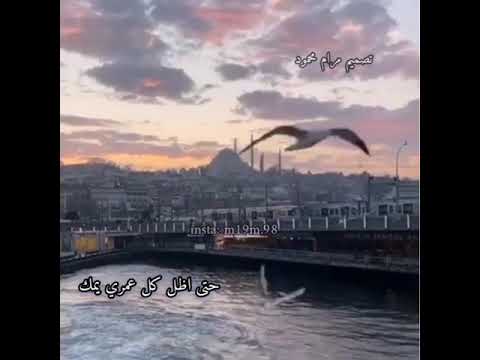 محمد عبد الجبار راح اسجل روحي بأسمك حالات واتساب انستا فيس