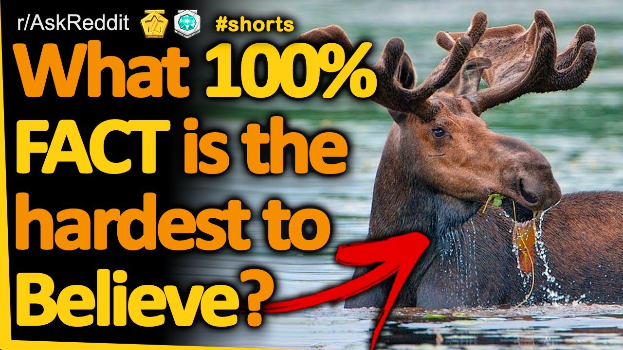 What 100% FACT is the hardest to believe? (r/AskReddit) Reddit FM