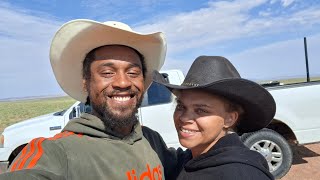 Two Week Update on Offgrid Arizona property 