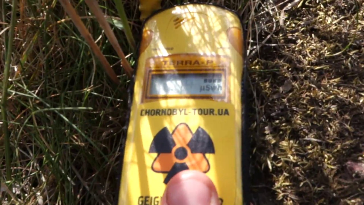 Measuring radioactivity near Red Forest, Chernobyl