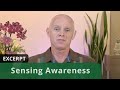 Sensing awareness excerpt