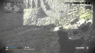 L115 and P226