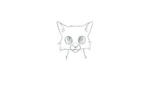 Level 1 Animation Exercises