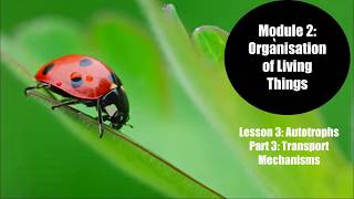 Module 2 Lesson 3 Part 3 Transport Mechanisms