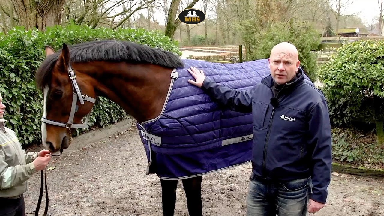Bucas Quilt 300 Gram Stay Dry Stal/Onderdeken YouTube