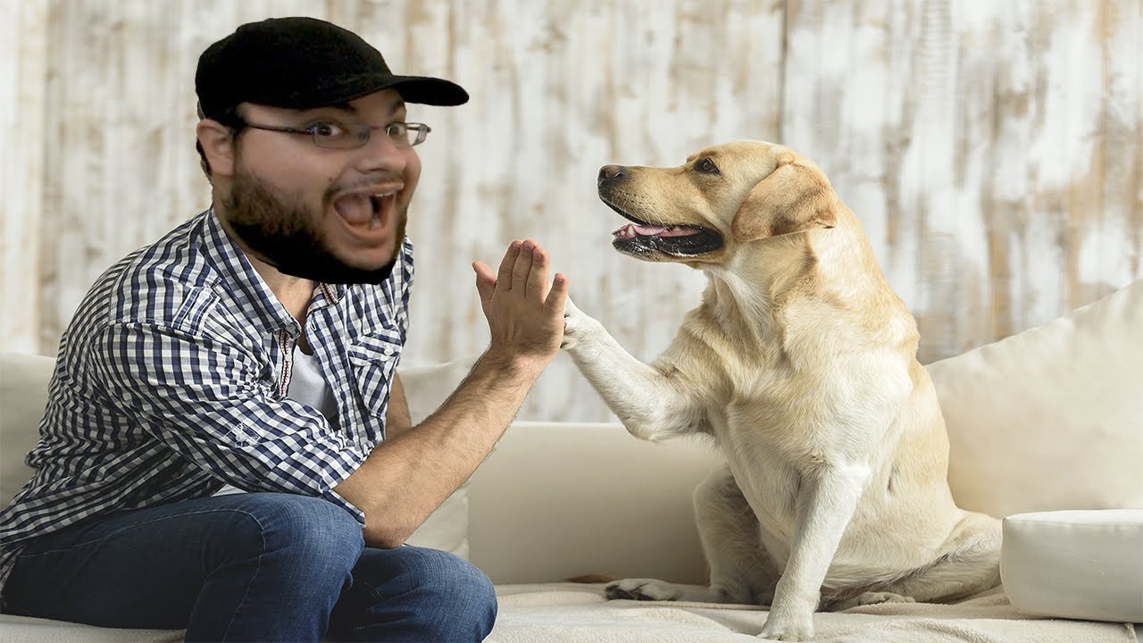 Los chistes mas inocentes de Rangu: