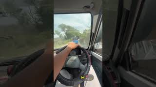 maruti 800 on top 🚀🚀🐍. # mod #modified #automobile #viral #millionaire #love #scorpio #crazycars