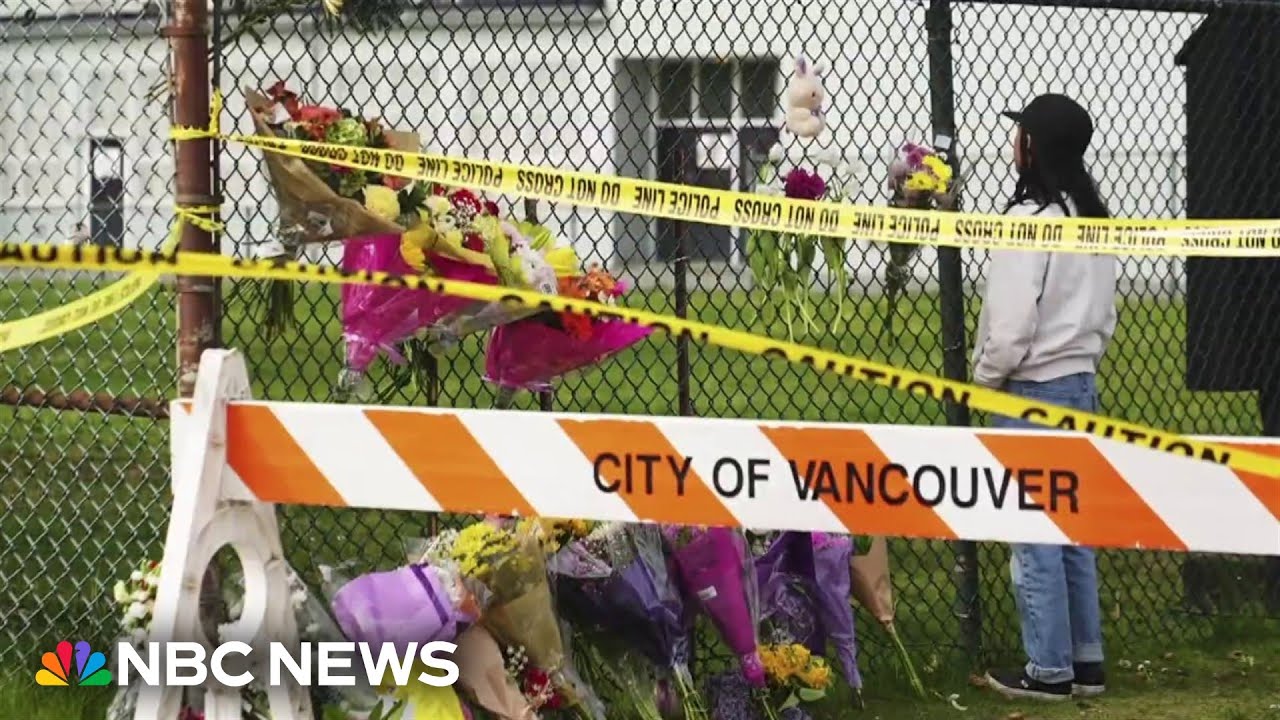 Multiple fatalities after car drives into crowd at festival