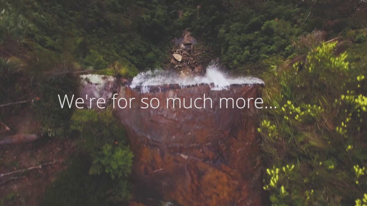 We're For Diverse Experiences