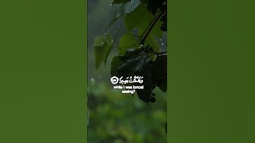 ومن اعرض عن ذكرى - القارئ { ريان المحيسني }
