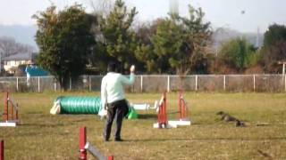 20091226.avi