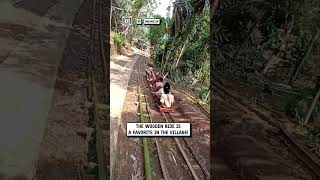 Traditional outdoor roller coaster 😲🎢🌳                               🎥: Viralhog