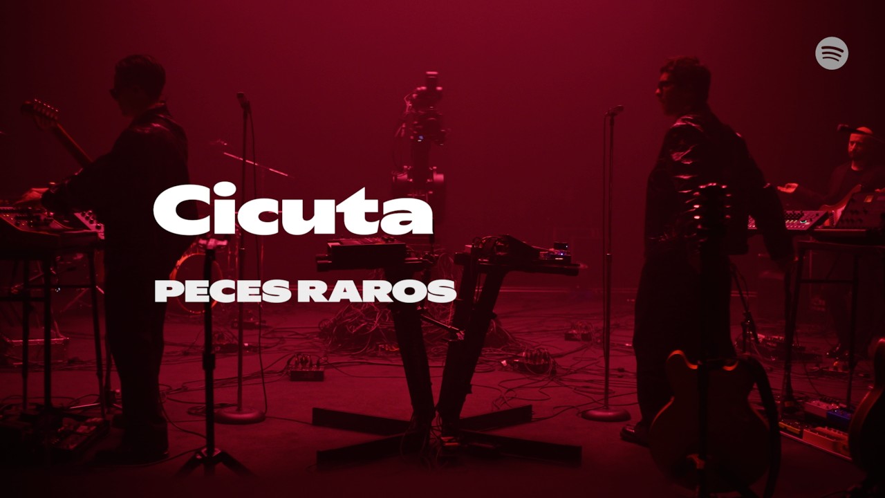Cicuta | Peces Raros | Spotify Session - YouTube