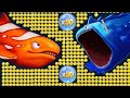 Fishdom🐠 Ads Mini Games New 0.4 Update video Hungry Fishs🐟 Gameplay 2026 zigil plays gaming