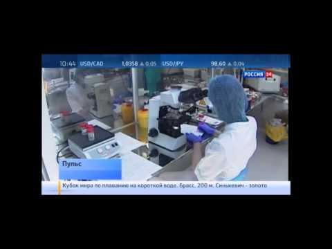 Cуррогатное материнство
