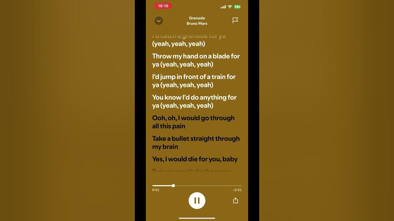 Grenade by Bruno Mars (lyrics)