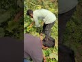 টাকা পাই কি করলো দেখুন🤣 #funnyvideo #comedyvideo #funny #foryou #viralfunnyvideo