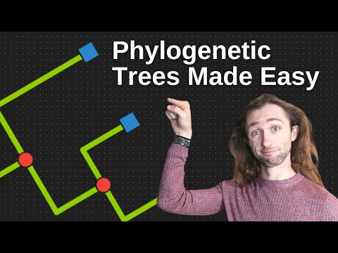 New to Phylogenies? START HERE - Tips, Nodes, Branches, and the Root