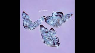 bianca - butterflies
