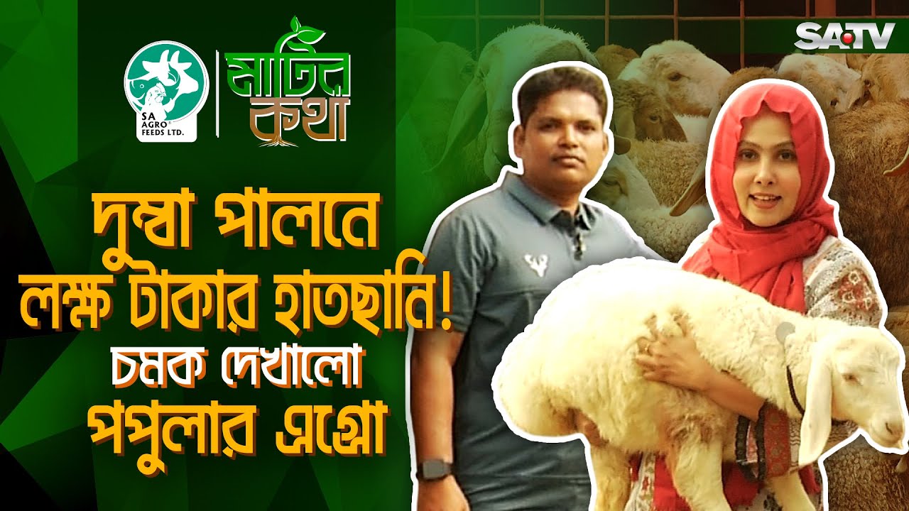 দুম্বা পালনে লক্ষ টাকার হাতছানি! | MATIR KOTHA EP 14 | SATV