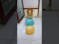 【Tiktok】イッヌかわいい😆【中国】#Shorts