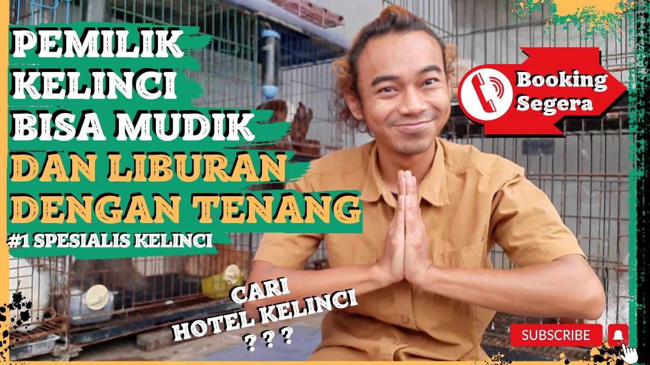 TEMPAT PENITIPAN HEWAN KHUSUS KELINCI DI BANDUNG, BISA KE GASARABBITS 