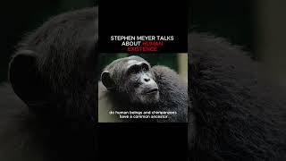 Stephen Meyer talks about “The Story of Everything in theatres NOW!”