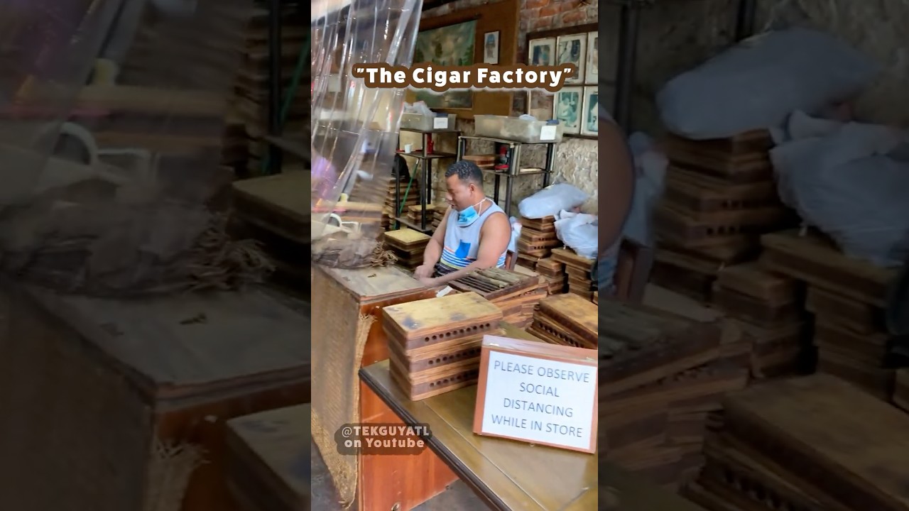 The Cigar Factory 