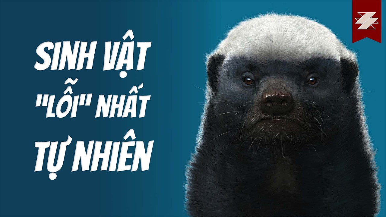 TIÊU ĐIỂM THÚ: LỬNG MẬT - CHÚA TỂ LỲ ĐÒN | SAMURICE