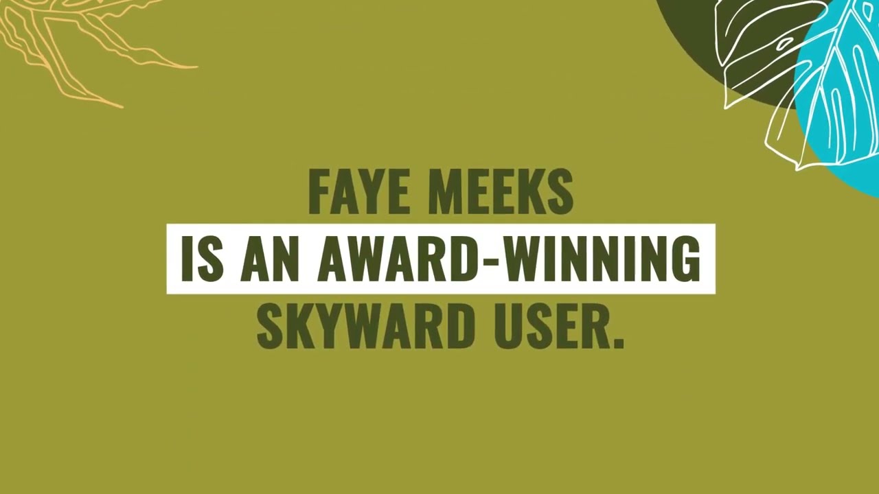Leader in Excellence Award Program | Skyward