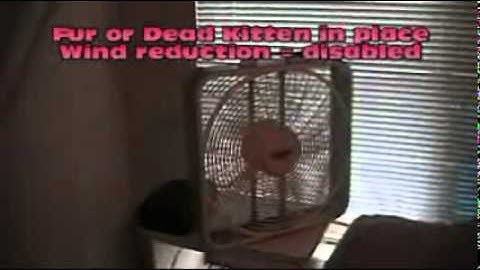 DIY Consumer CamCorder Wind Noise Reduction Tutorial - Dead Cat