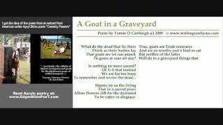 Goats in a Graveyard