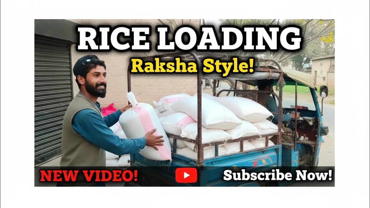 Loading Raksha Rice Loading Raksha Style | Hard Work Day in Life | Chawal Loading ...
