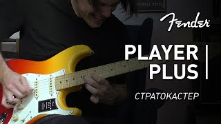 :   ! Fender Player Plus