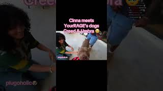 #yourrage #cinna #dogs #animals #wholesome