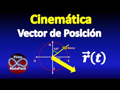 Vídeo: Què és un vector en posició estàndard?