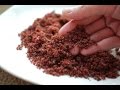 Forage-To-Table in Fall - Sumac Spice and Sumac Ice Tea, Episode 02