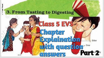 From Tasting to Digesting |Class 5 EVS | Chapter 3 Page 25 to 29 | with Question answers #cbse#ncert