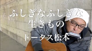 80.「ふしぎなふしぎな生きもの」トータス松本/うたすき〜♪《トンネル弾き語り》