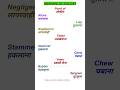 Important word meaning for spoken English #spokenenglish #vocabulary #shorts