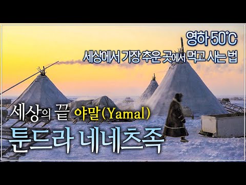 너무 추워서 처음 보는 이방인도 일단 재워 준다는 툰드라! 세상에서 가장 추운 곳에 사는 사람들│세상의 끝 야말(Yamal), 러시아 툰드라의 네네츠 족│세계테마기행