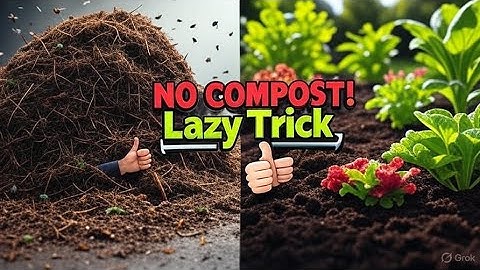 Why I’ll Never Make Compost Again – This Lazy Trick Works Better