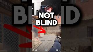 This Flash Will Never Blind You in CS2