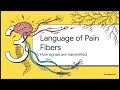 Why Does Your Head Hurt? Neuroanatomy of Headache Syndromes