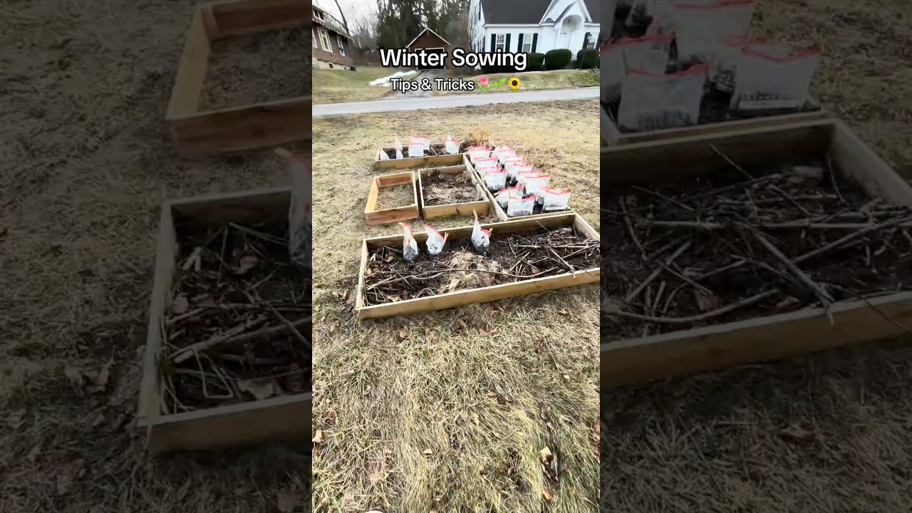 Winter Sowing Tips & Tricks 