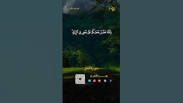 القارئ :محمد العبد القادر #قرآن #تلاوات #حالات_واتس