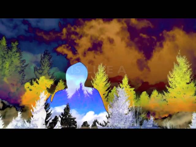 Watch Slippery Elm on YouTube Watch Slippery Elm on YouTube